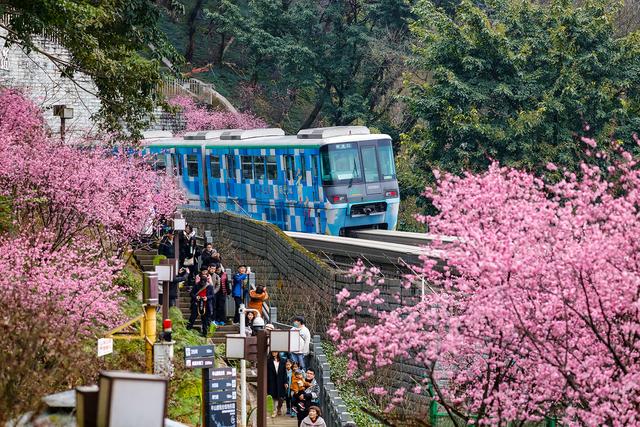 暖阳造访重庆 开往春天的列车2.0版重装上线